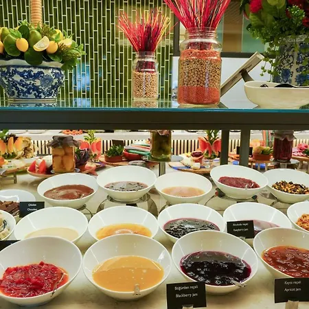 فندق Radisson Merter 5*
