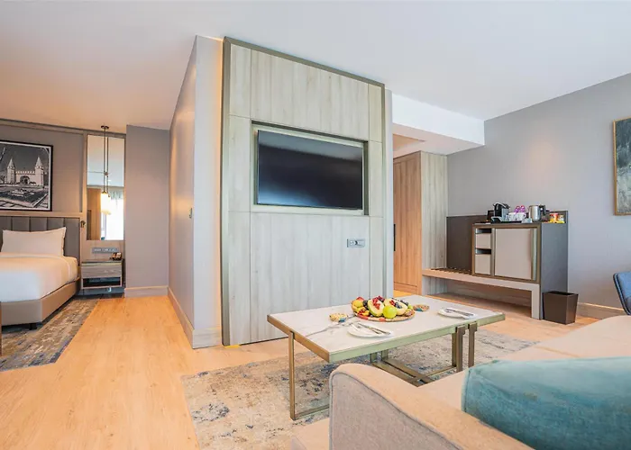 Hotel Radisson Merter