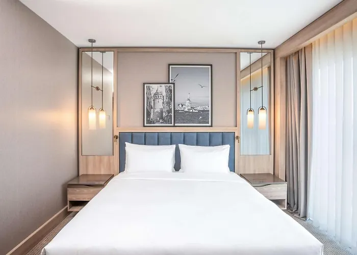 酒店 Radisson Merter 5*