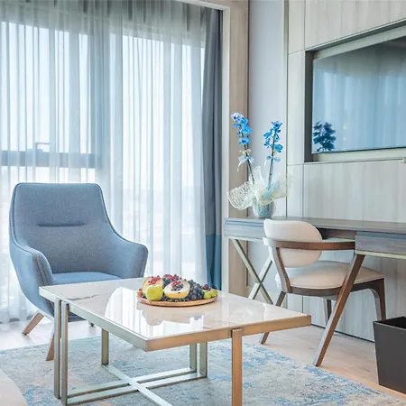 Radisson Merter 호텔 5*